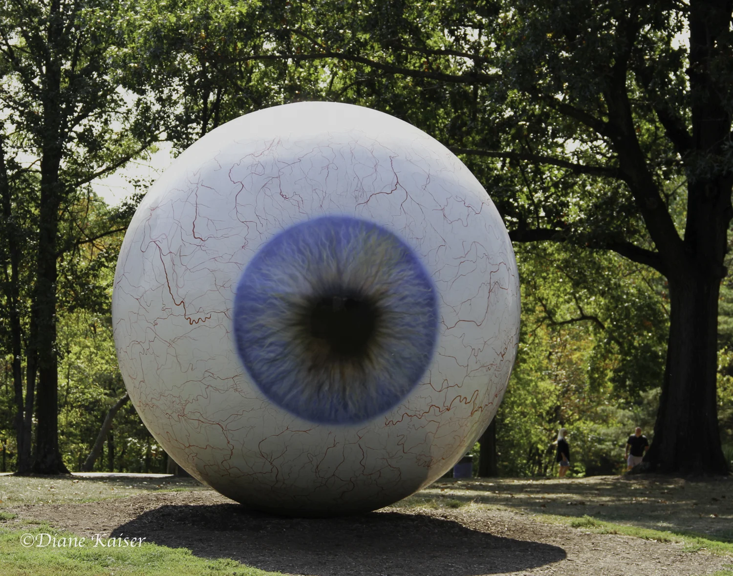 Tony Tasset's Eye , 2007, fiberglass, resin, oil paint, steel.