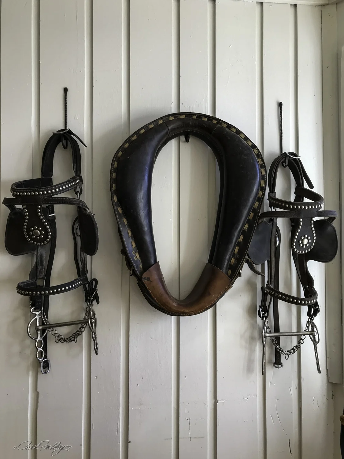A leather shop.