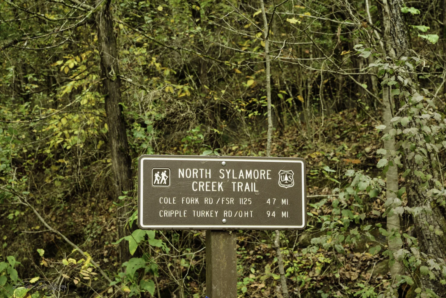 Looking straight ahead! Ann, we found a trail for you! Cripple Turkey is about an apt description for what would happen to me if I took the hike and it would not take 94 miles!!