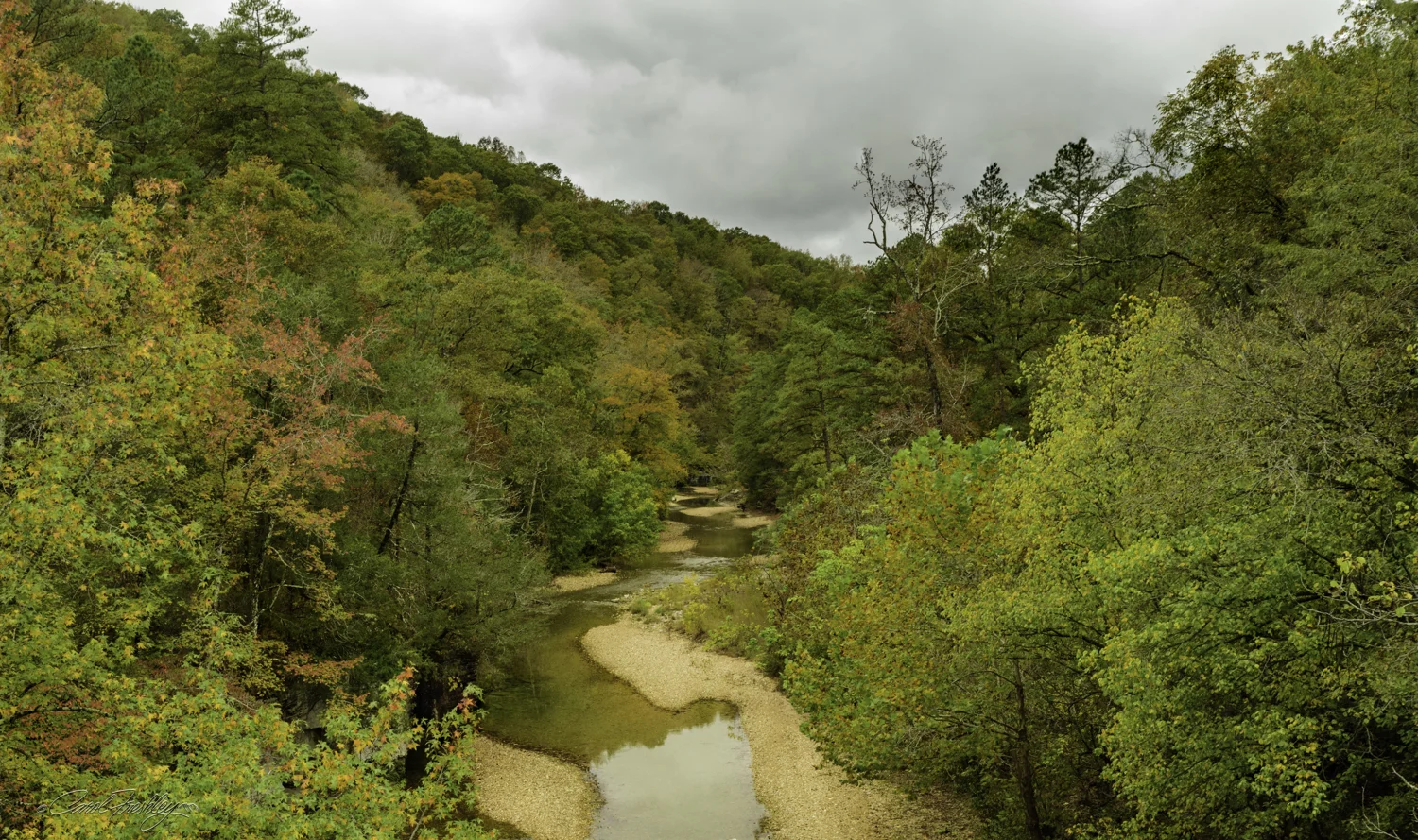 From the bridge above we could see a creek. Gunner Pond has to be close. Right?