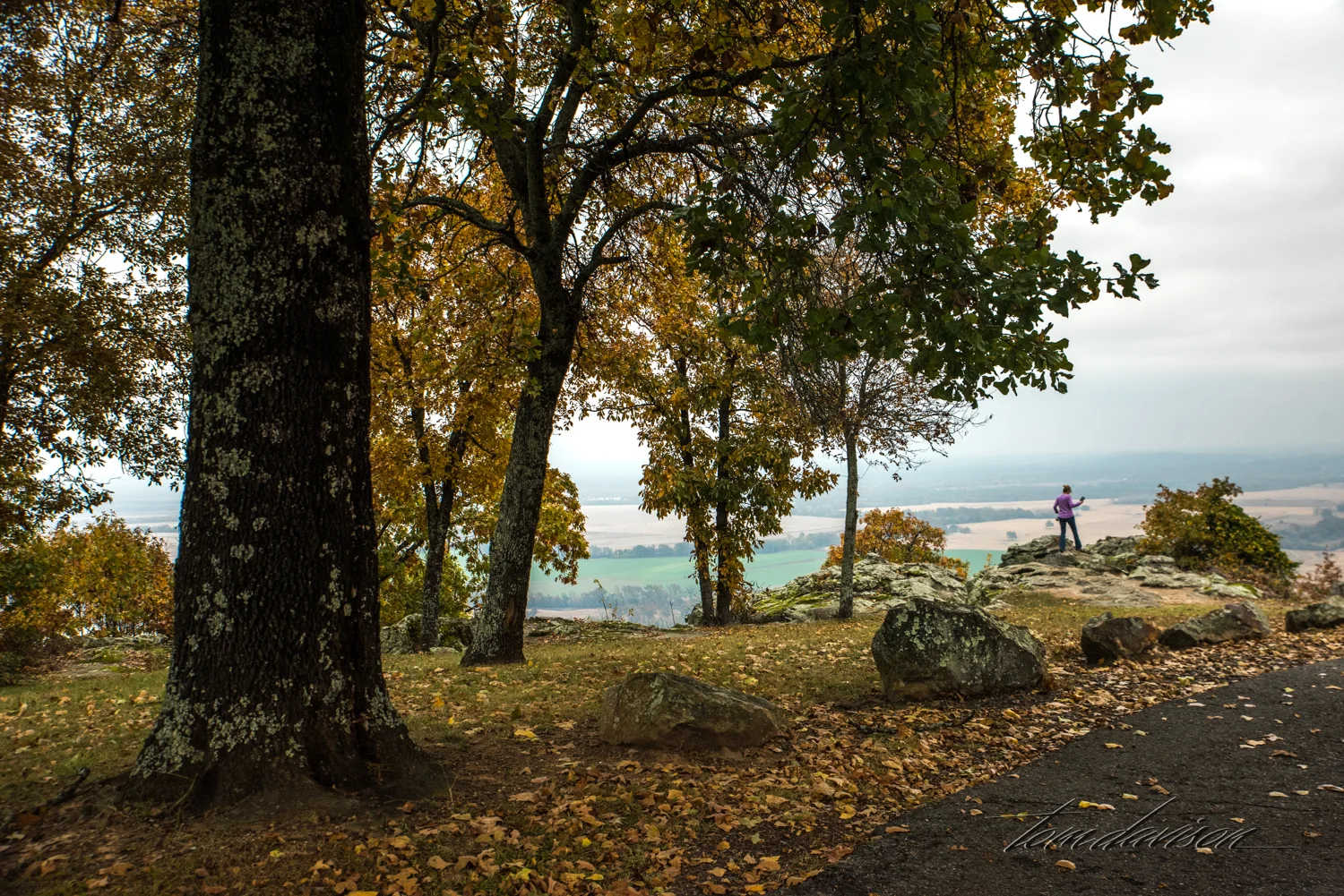 TD Petit Jean (304 of 49).jpg