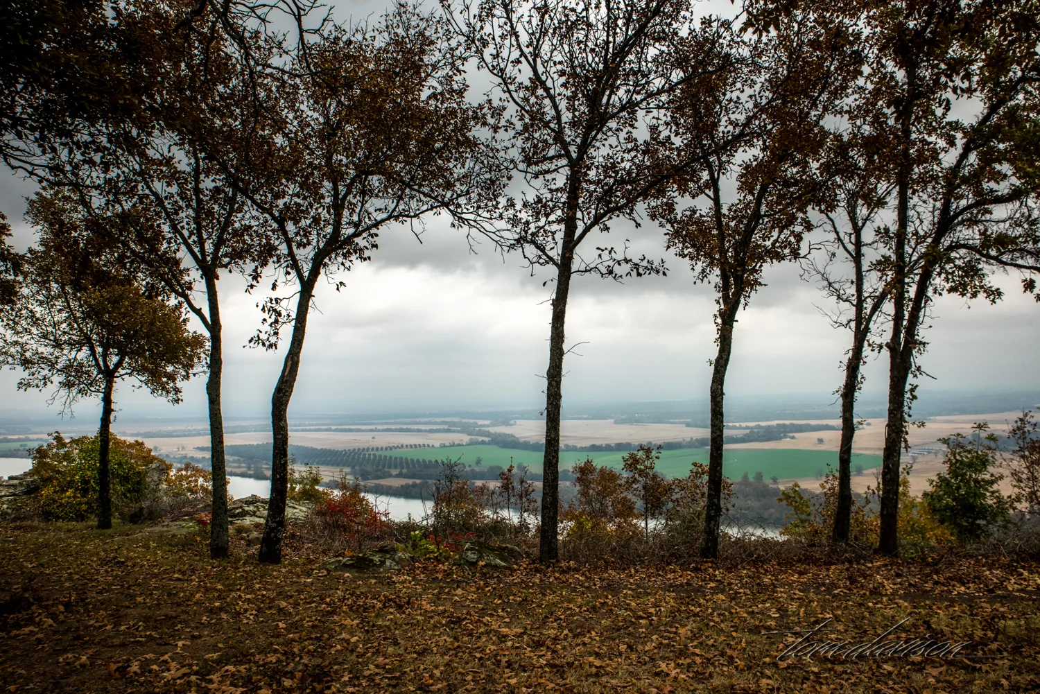 TD Petit Jean (308 of 49).jpg