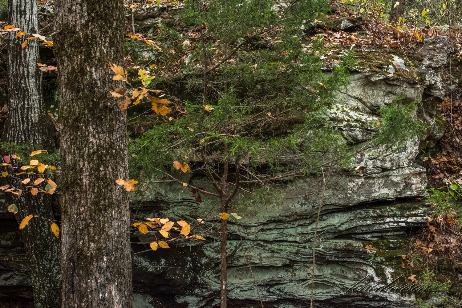 TD Petit Jean (324 of 49).jpg
