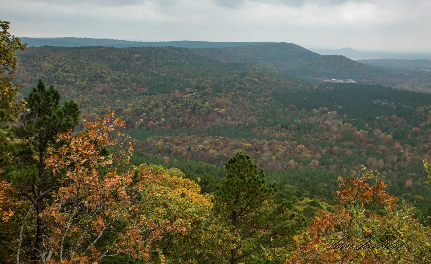 TD Petit Jean (309 of 49).jpg