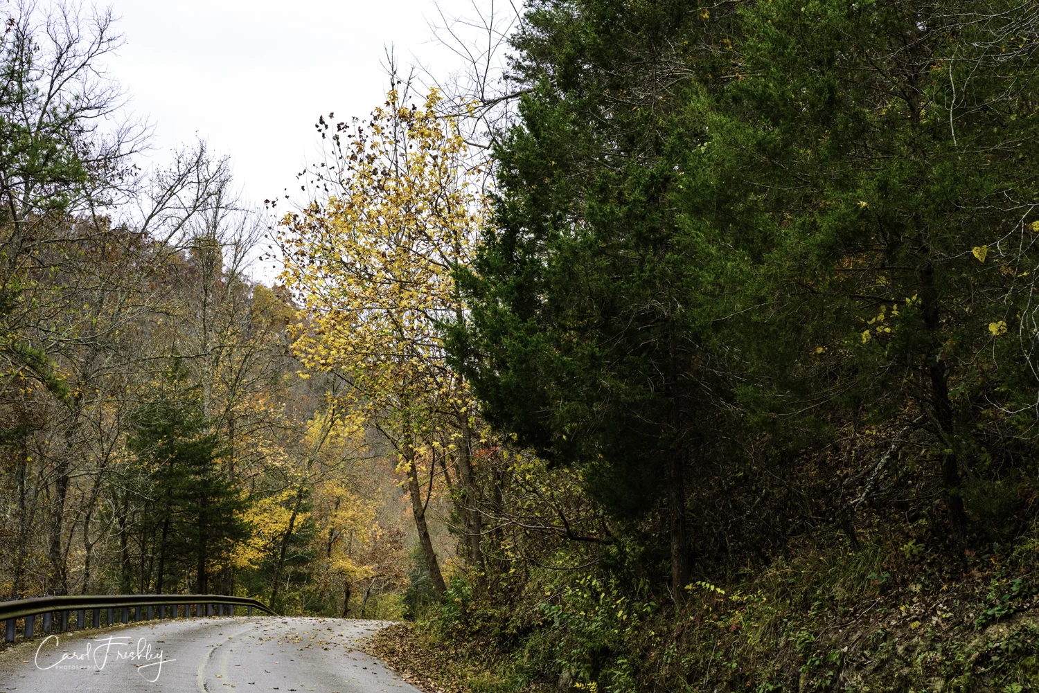 So, down the road I go! Can't feel too sorry for me having such a gorgeous road all to myself!