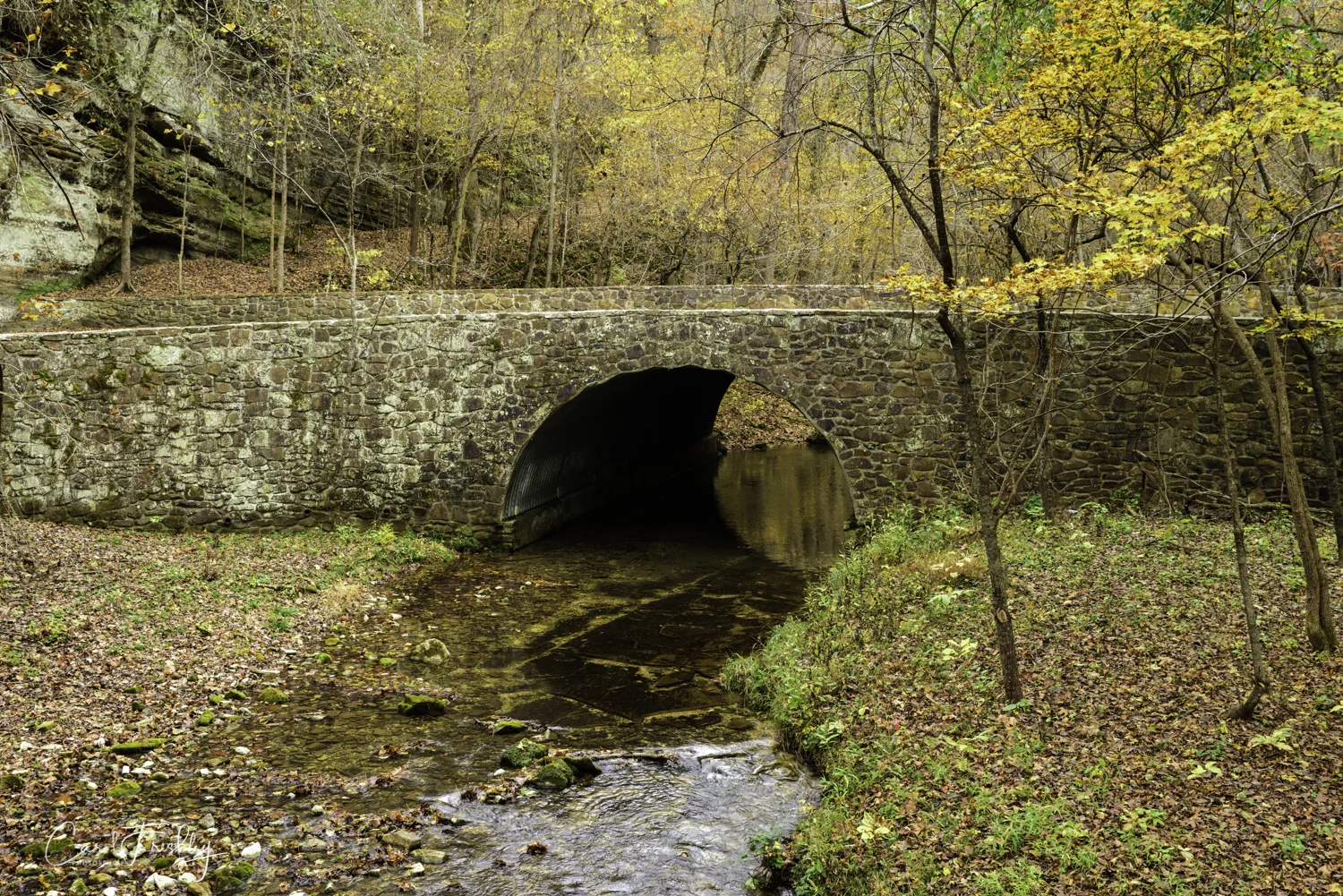 Blanchard Spring-14.jpg