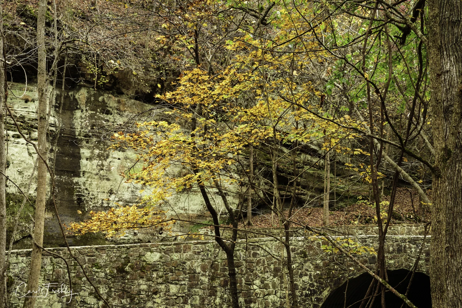 Blanchard Spring-23.jpg