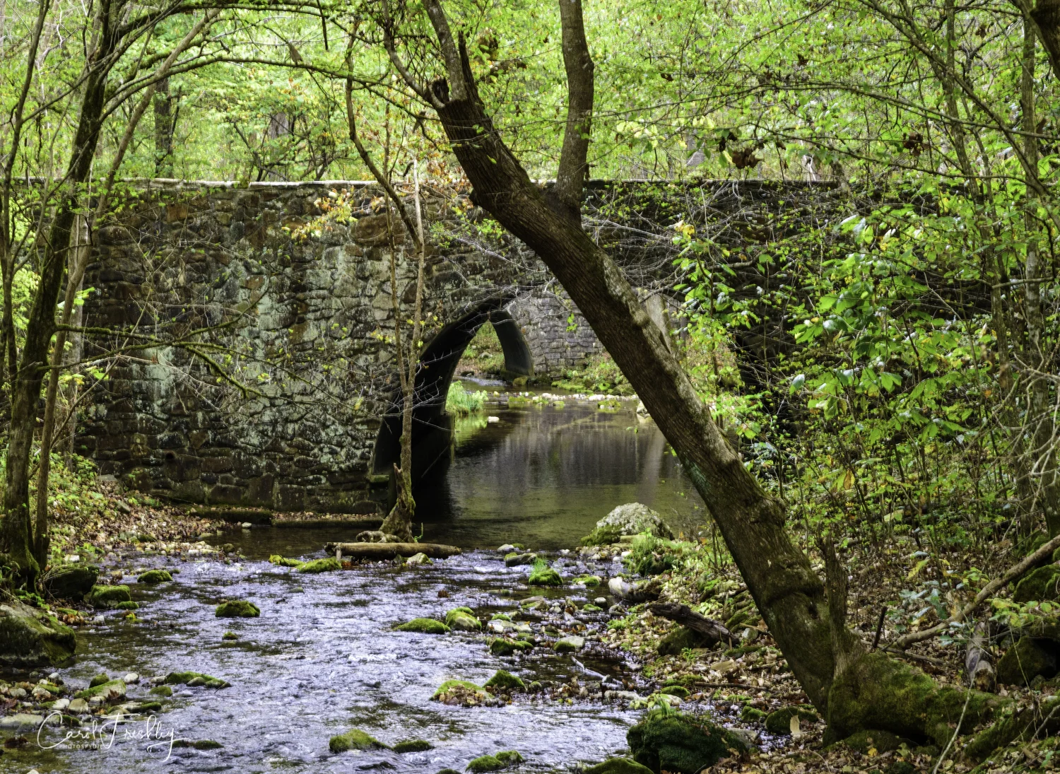 Blanchard Spring-7.jpg