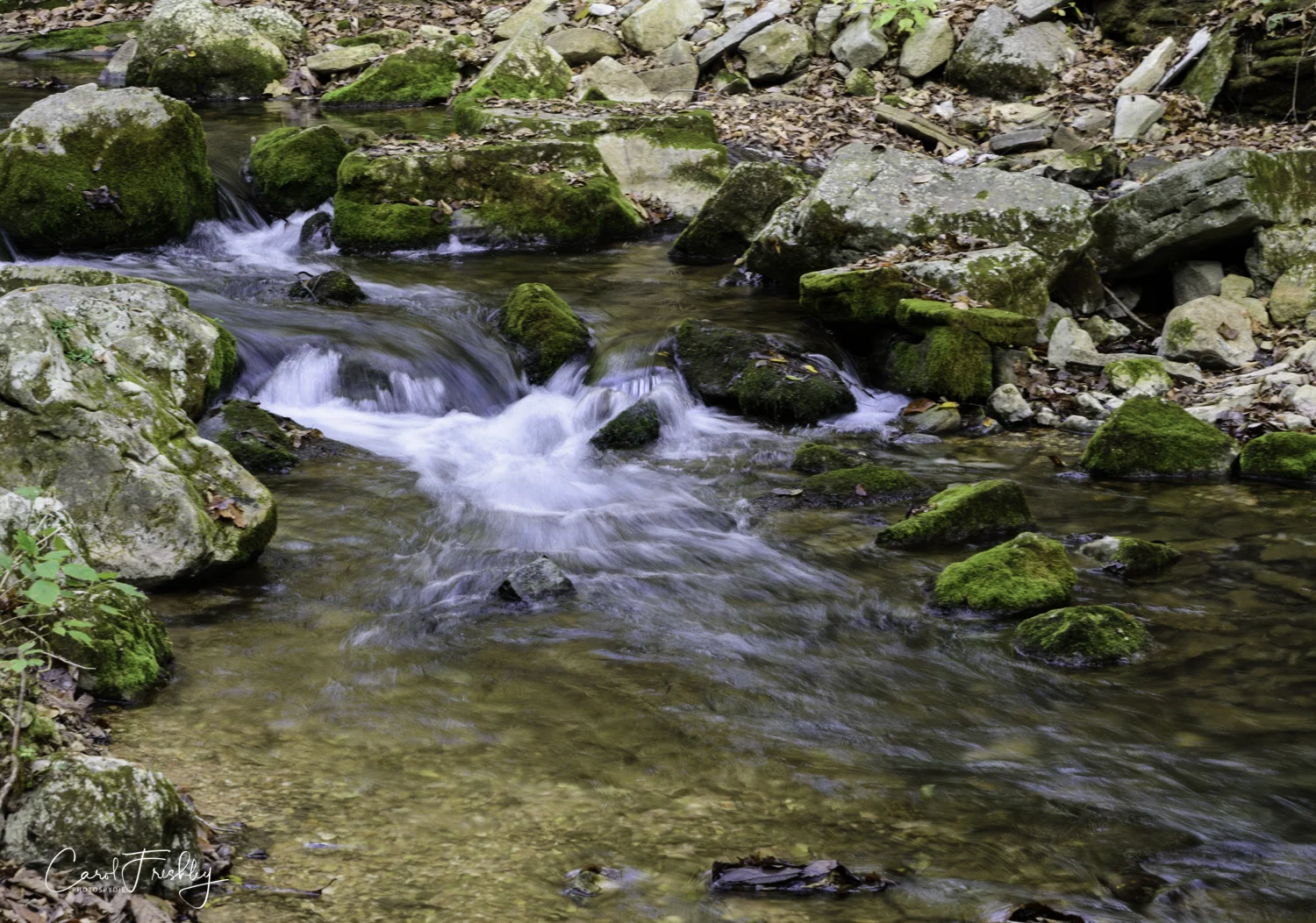 Blanchard Spring-1.jpg