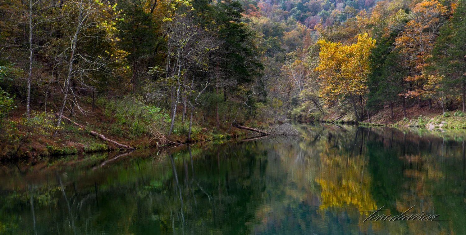 Spring and Mirror (308 of 36).jpg