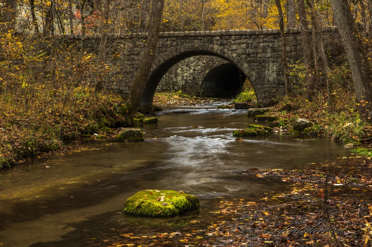 Spring and Mirror (321 of 36).jpg