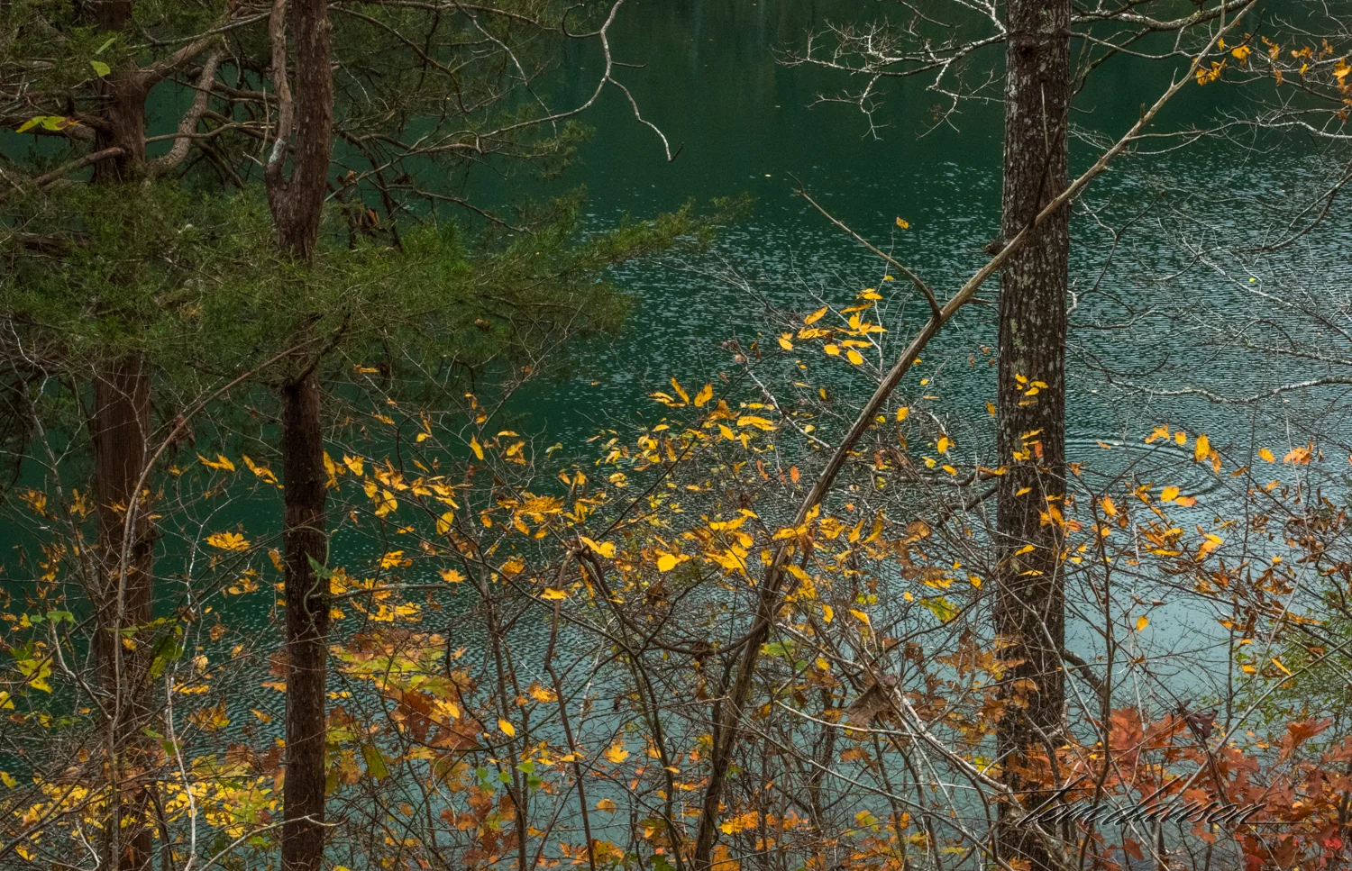 Spring and Mirror (324 of 36).jpg