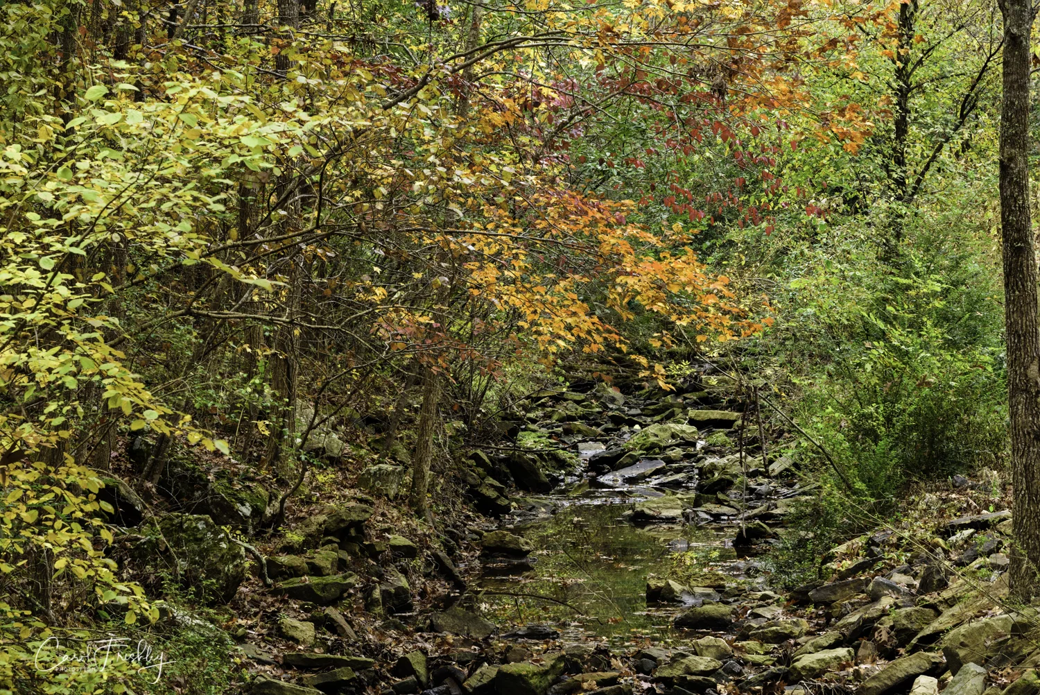 Upstream.