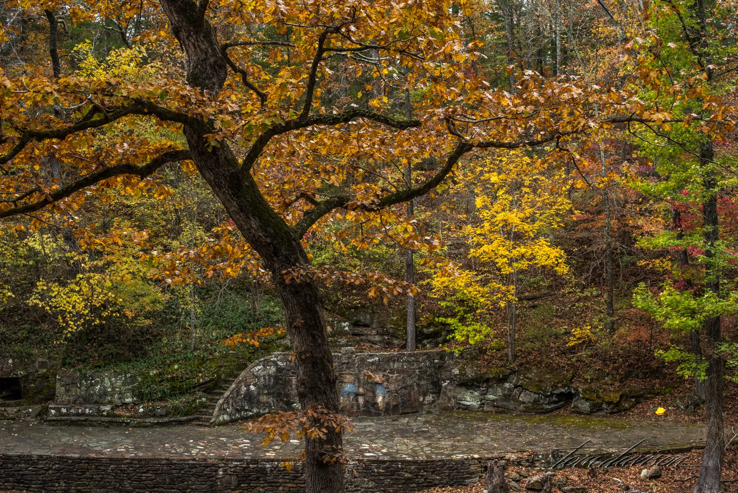 TD City Park (304 of 19).jpg