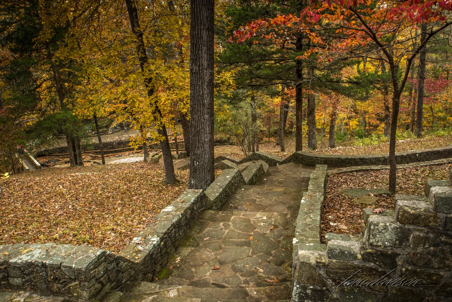 TD City Park (318 of 19).jpg