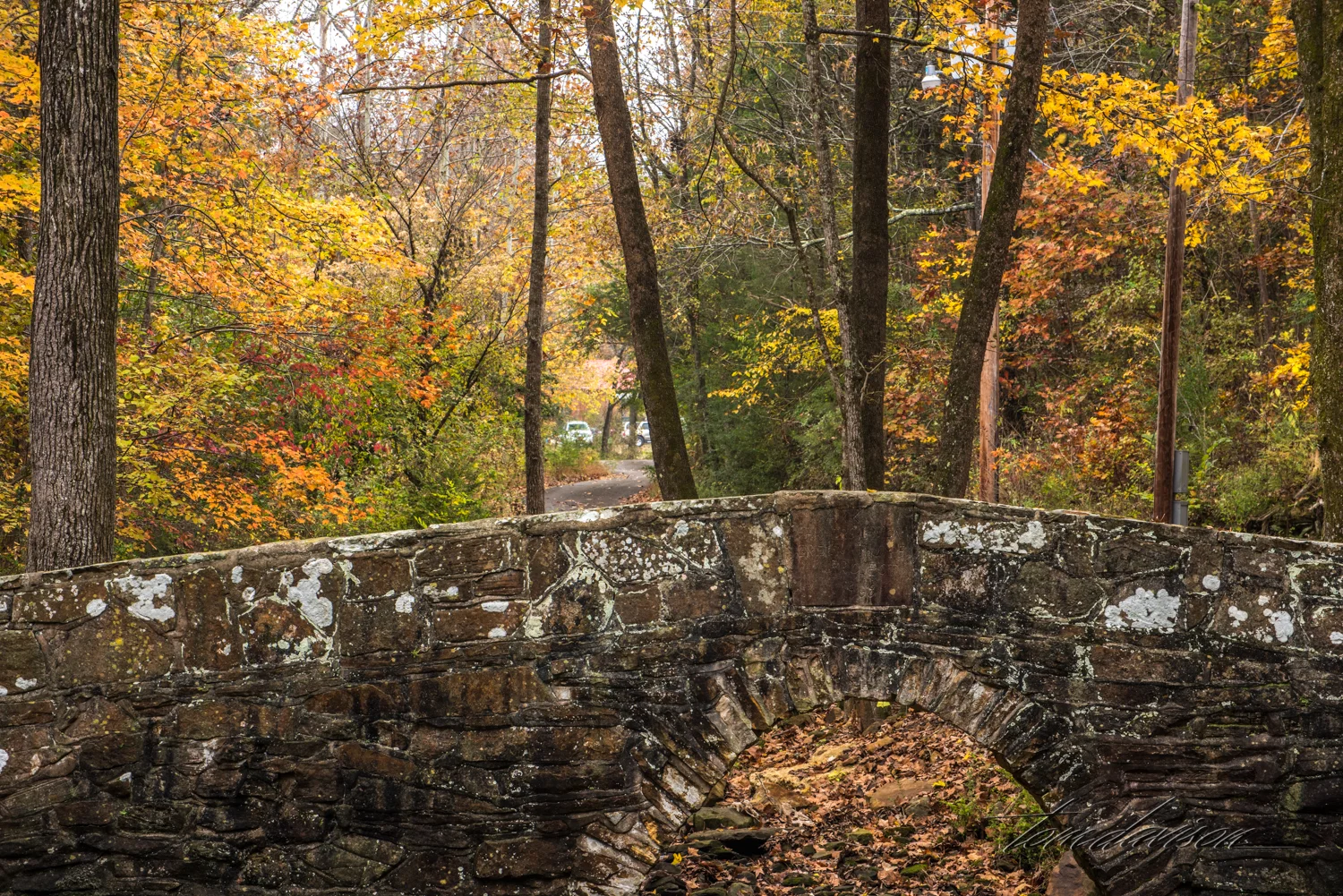 TD City Park (314 of 19).jpg