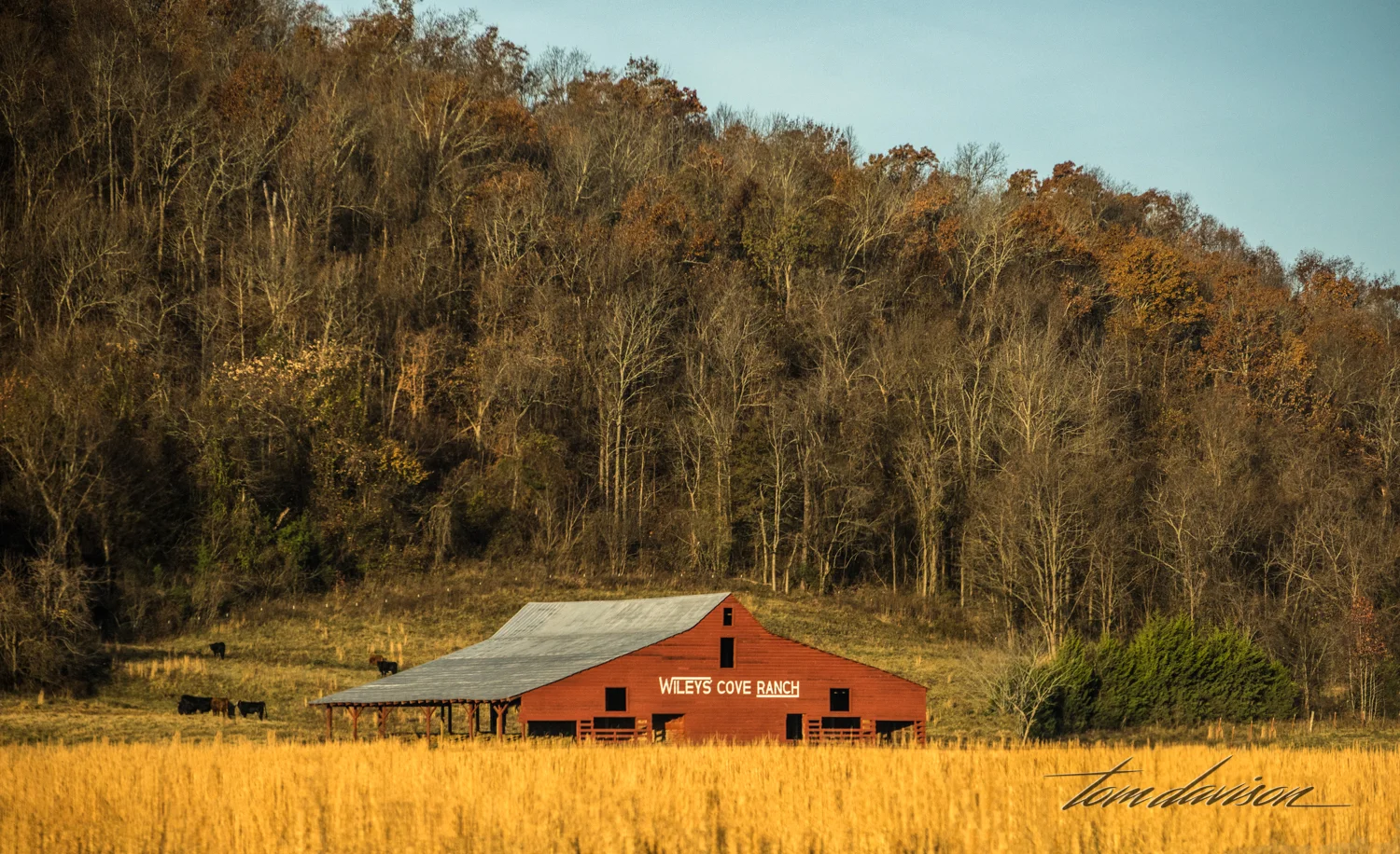 TD Road Trip (302 of 21).jpg