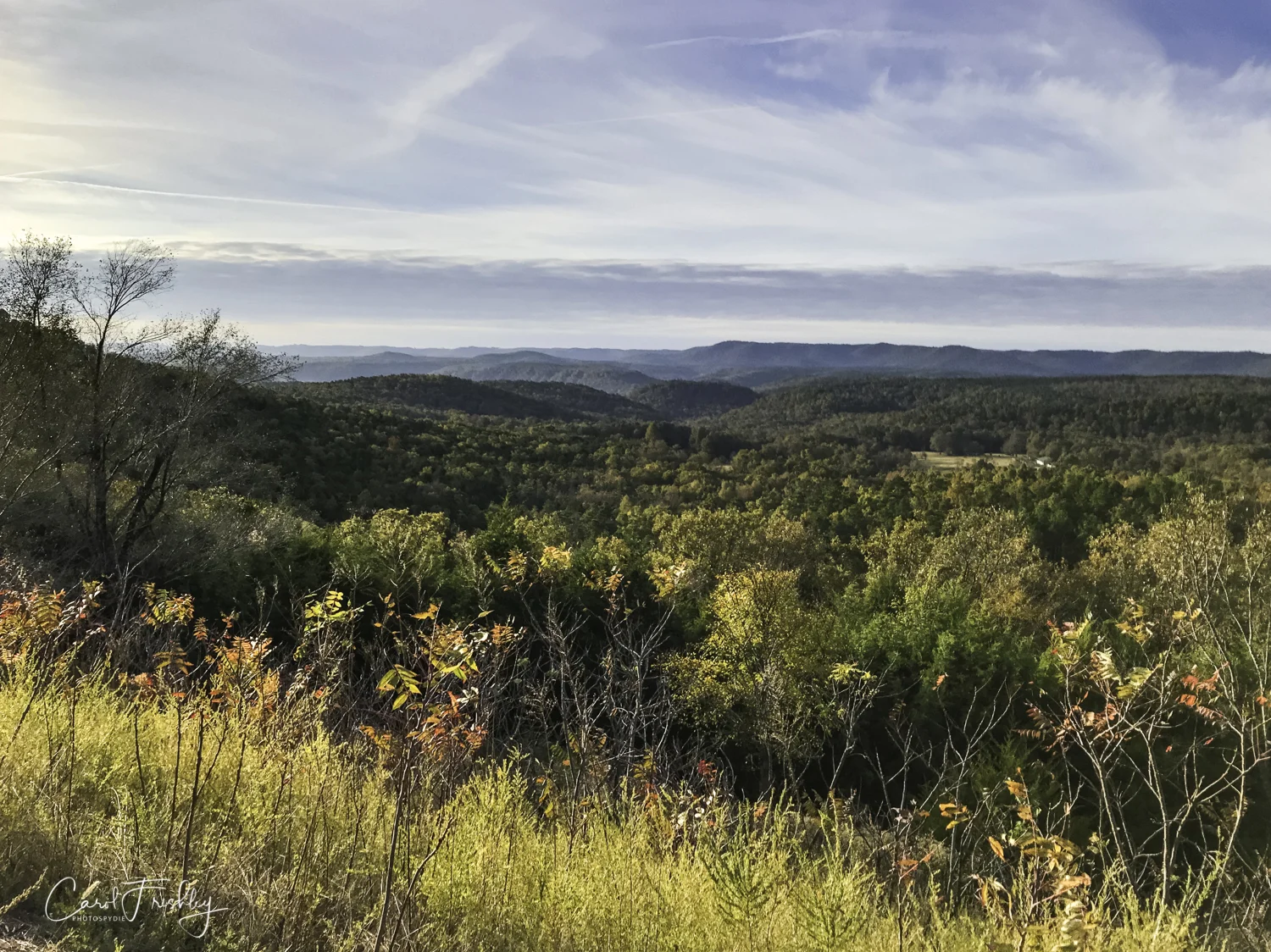Hmmmmm. . . . this looked like a promising view for later fall color. But, things went from this to brown and fog was a constant challenge. We did not go back.