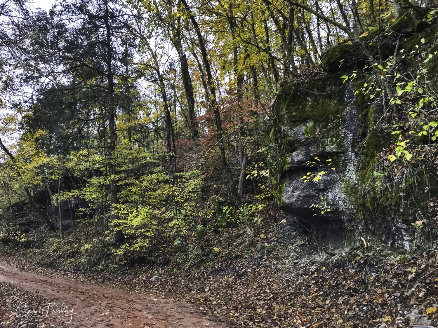 On the way back to pavement.