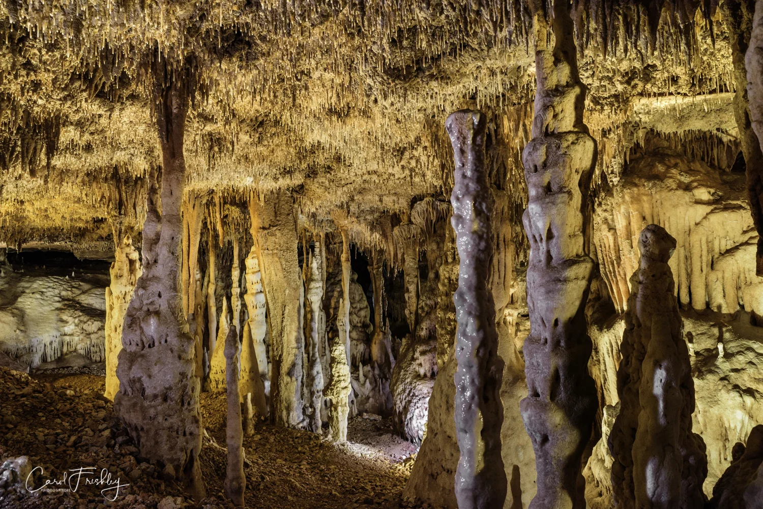 Blanchard Springs Caverns-129.jpg