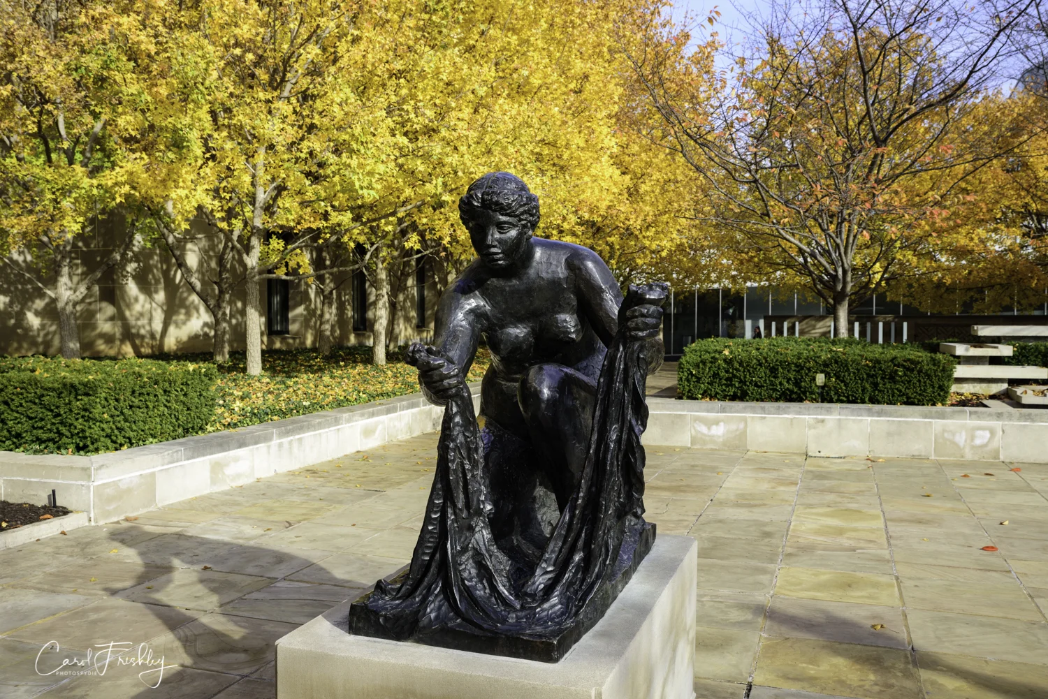 This Auguste Renoir sculpture is entitled The Large Bather but is also known as The Washer Woman. Renoir did not take up the art of shiculpture until very late in life and this sculpture is modeled after his famous The Large Bathers paintings. I could not find an information note on this sculpture. I was fascinated by how my perception of the woman changed so much from walking around her.