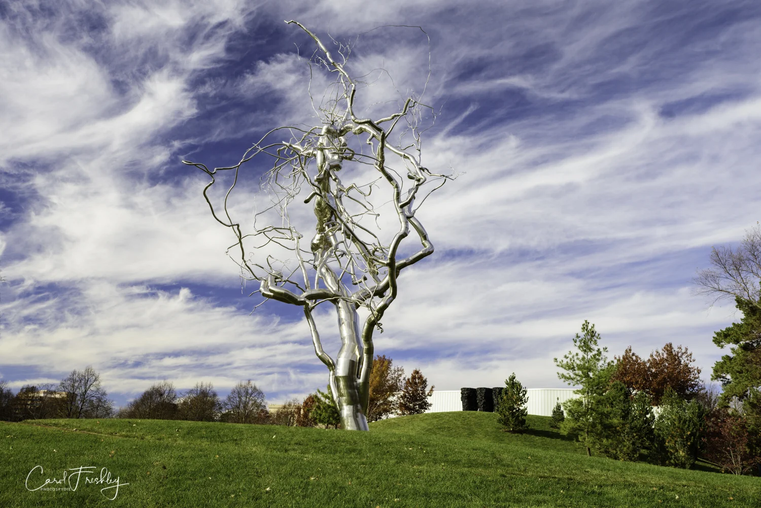 Of course, this tree, entitled Ferment , reminded me of our visit to Crystal Bridges. Same sculptor, Roxy Paine, but a different tree. "Rising 56 feet into the air with a branching system spanning 35 feet, Roxy Paine's silvery sculpture acknowledges the power of human imagination and technological innovation. Its organic, tree-like form also speaks profoundly to the dendritic (branching) structures of nature - from our bodies (torso, arms, hands, fingers) to vascular and neurological systems to river deltas and erosion pattern to botanical branching. Ferment , one of more than 20 dendroid sculptures by Paine, investigates this complex interrelationship between nature and technology." This stainless steel sculpture was made in the artist's studio in New York and shipped to the museum in pieces. It too the artist and his team two weeks to join the pieces right on the lawn.