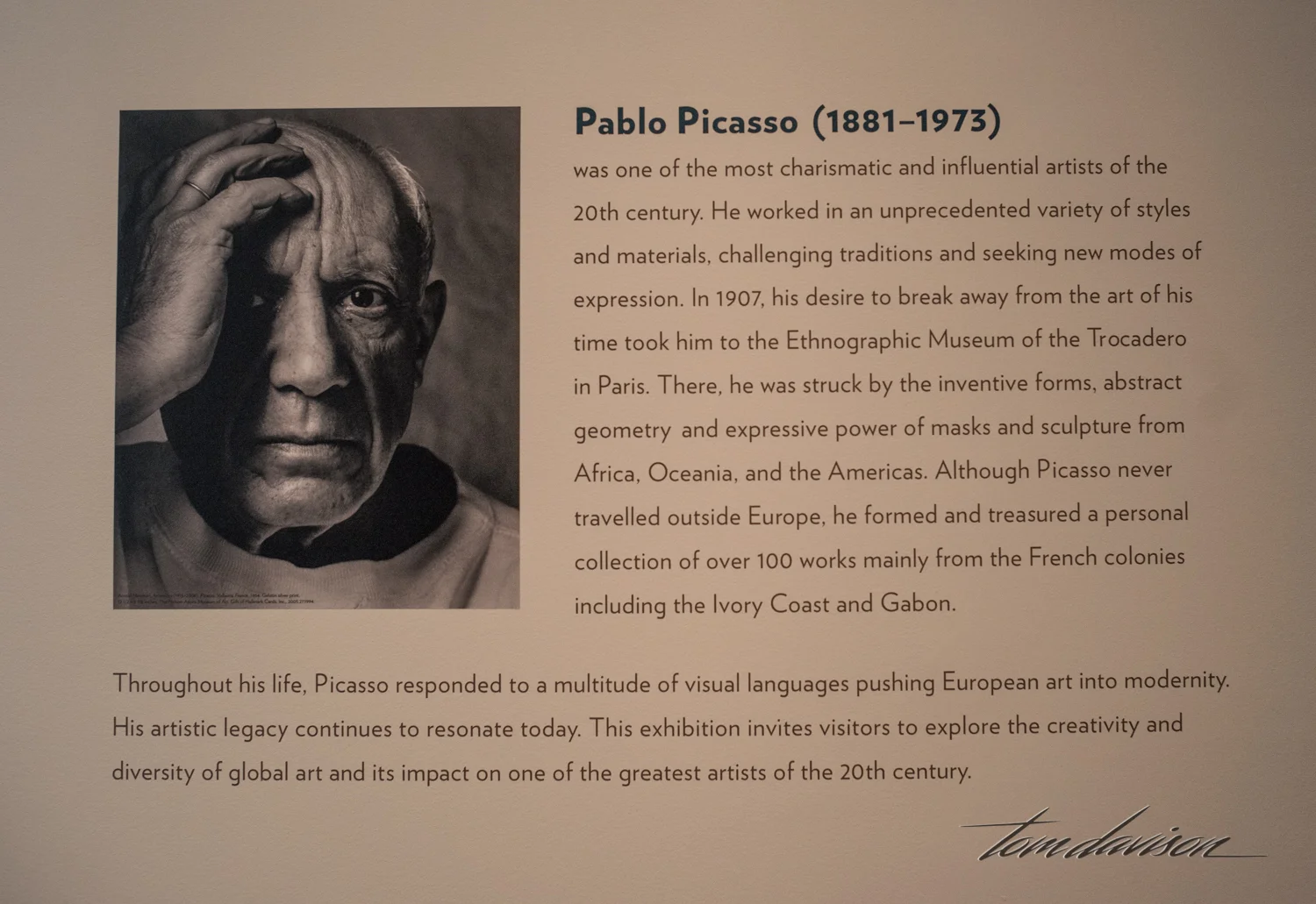 Picasso (300 of 53).jpg