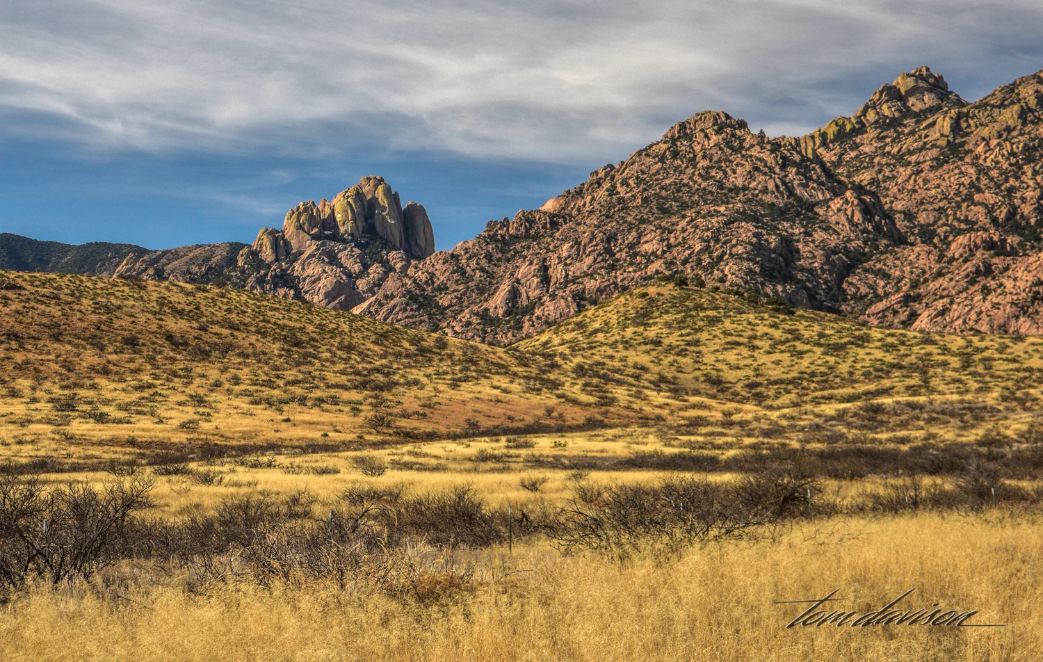 TD Cochise (313 of 21).jpg