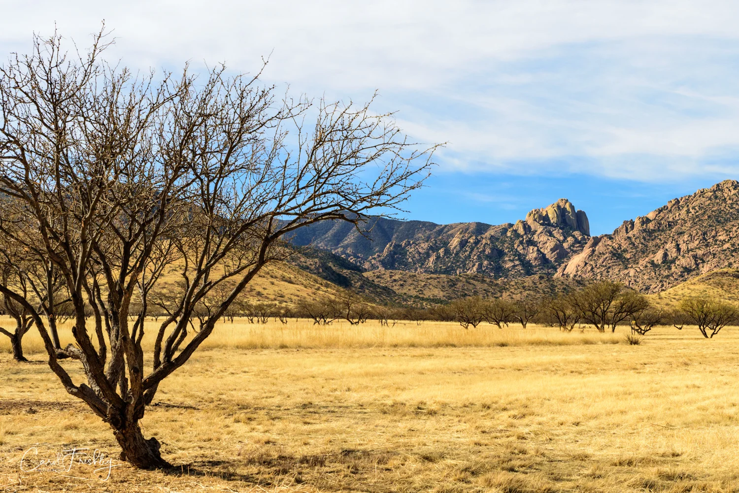 To Cochise Stronghold-5-5.jpg