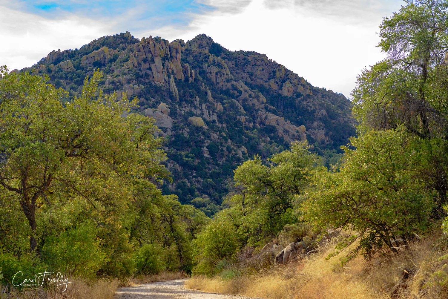 This dirt road is getting us real close to the campground. This is typical of the landscape in the area.