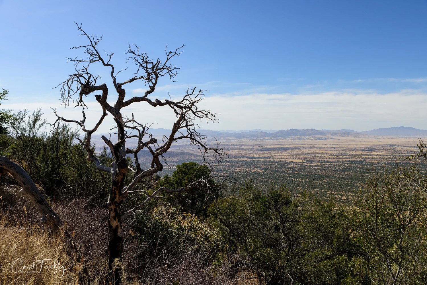 Looking back and down at the San Rafael Valley.