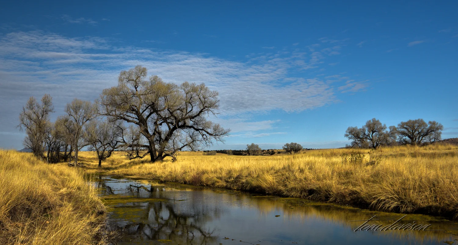 TD San Raphael Valley (300 of 1).jpg