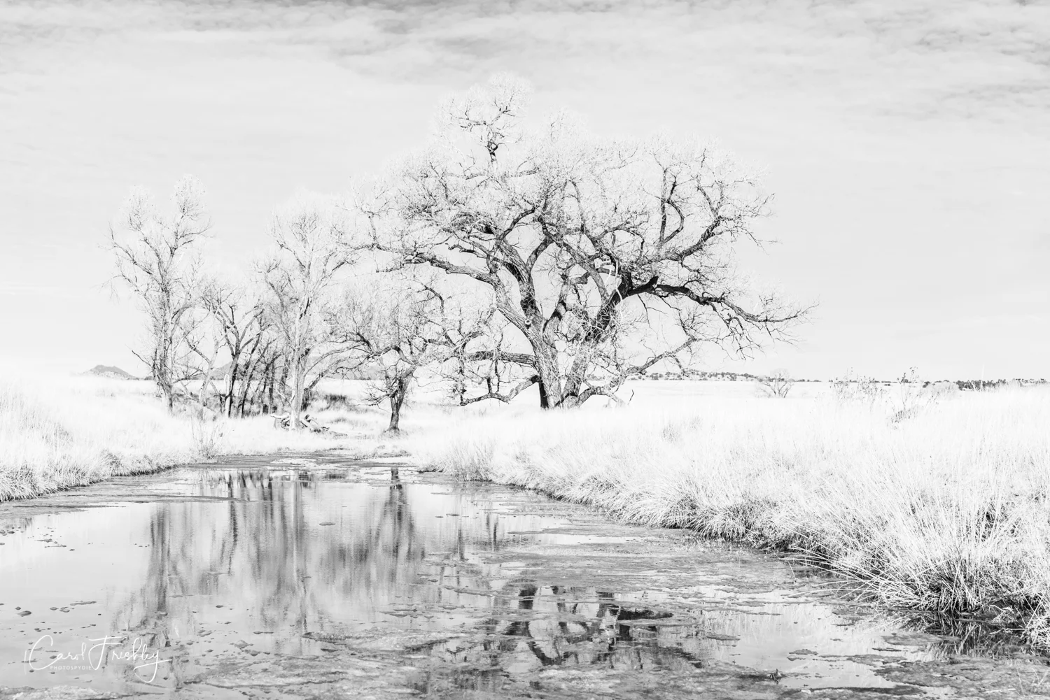 I am learning more and more about black and white photography. This image started with an intentional underexposed photograph.