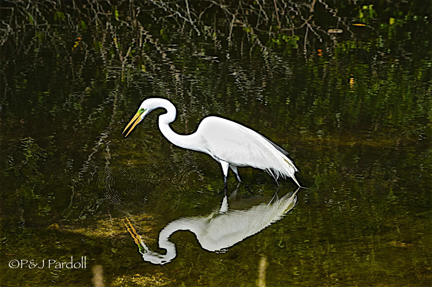 Sanibel Island Florida