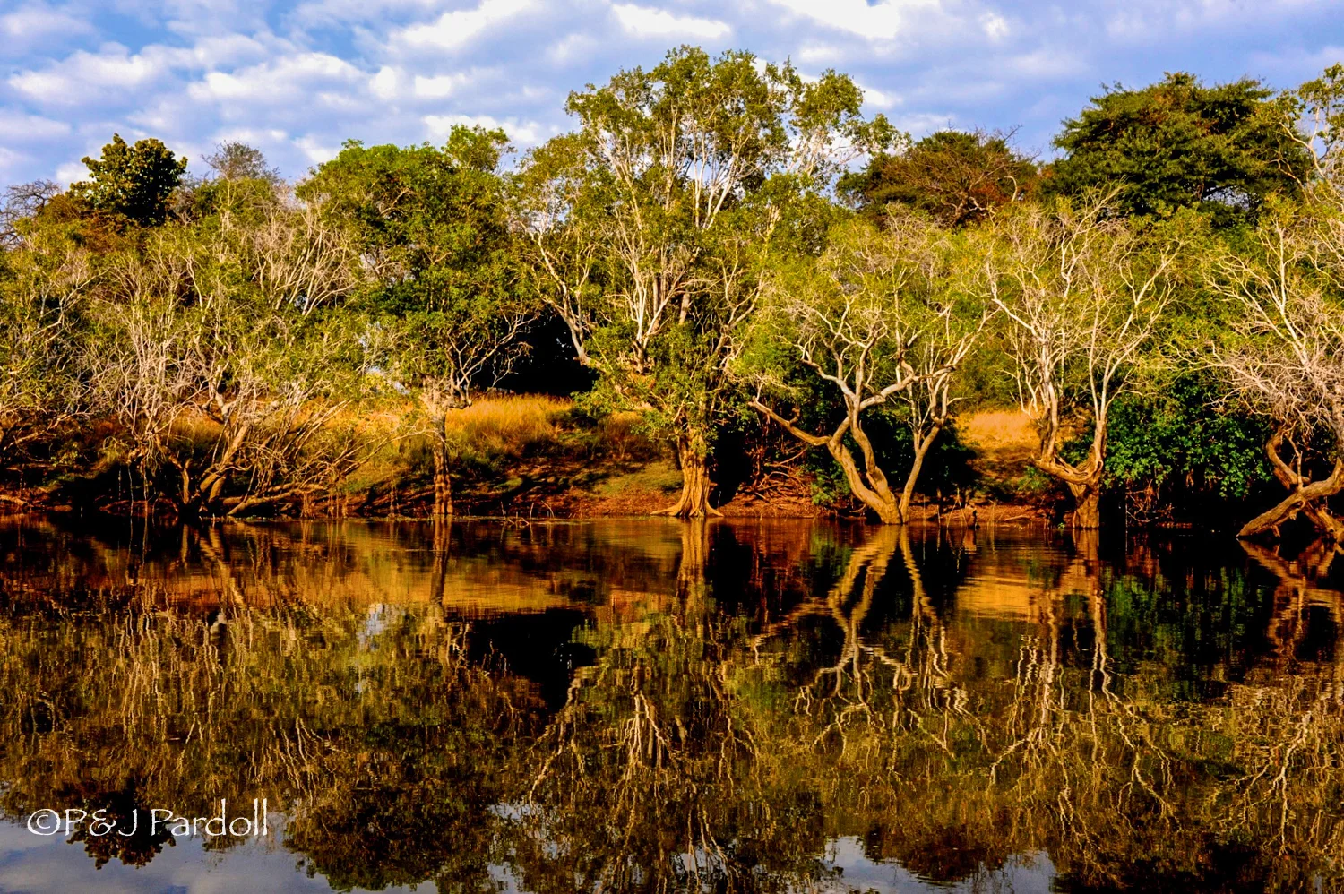 Musanza, Zambia