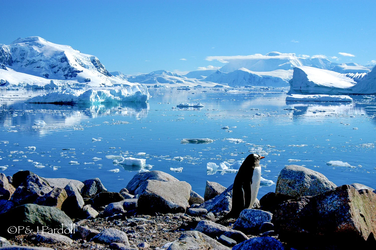 Antarctica- 2005