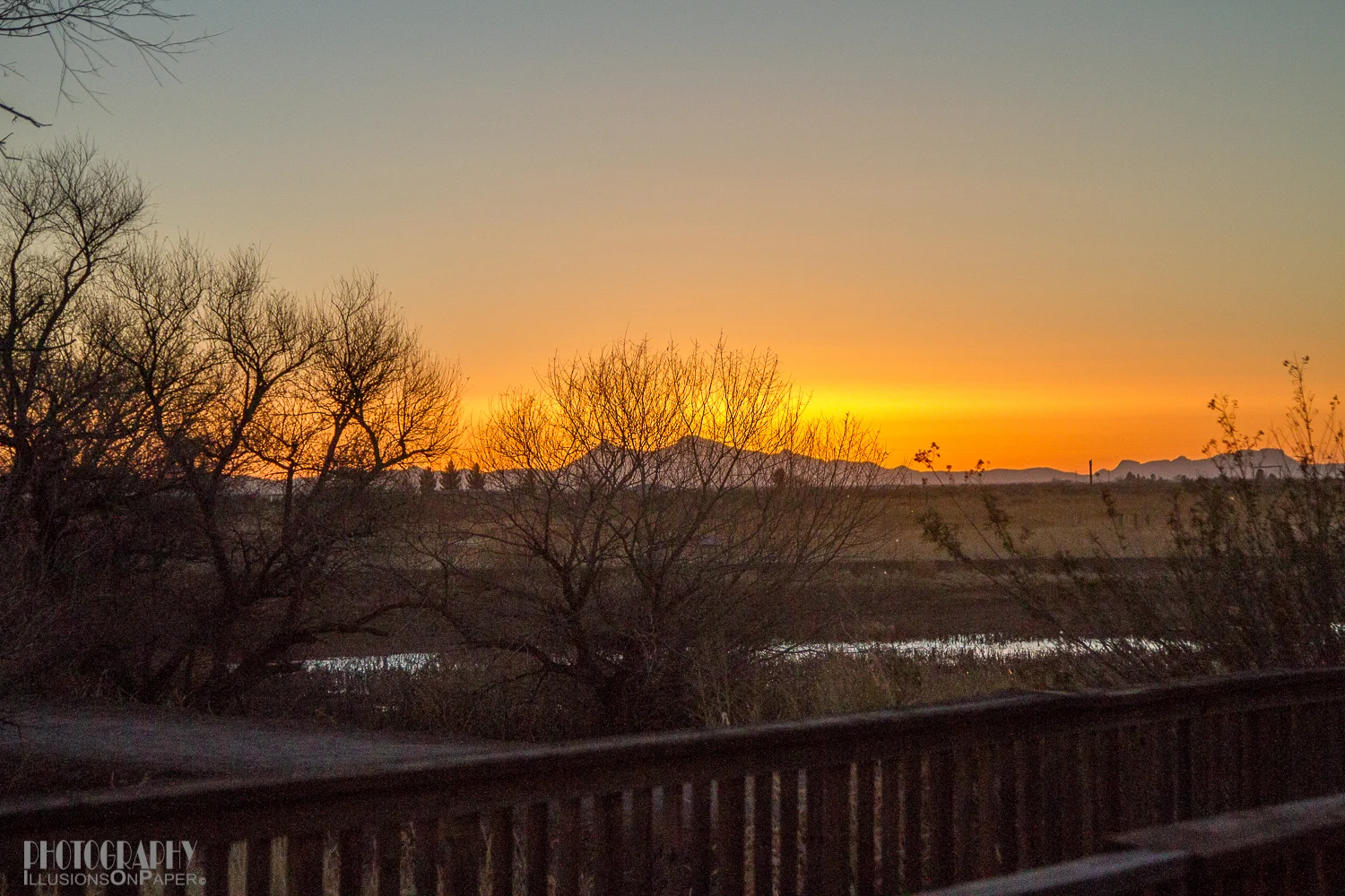 We were already frozen and the sun was just starting to come up. Temperature was 17º, my hands too cold to set up my camera and then my long lens would not even attempt to focus!!