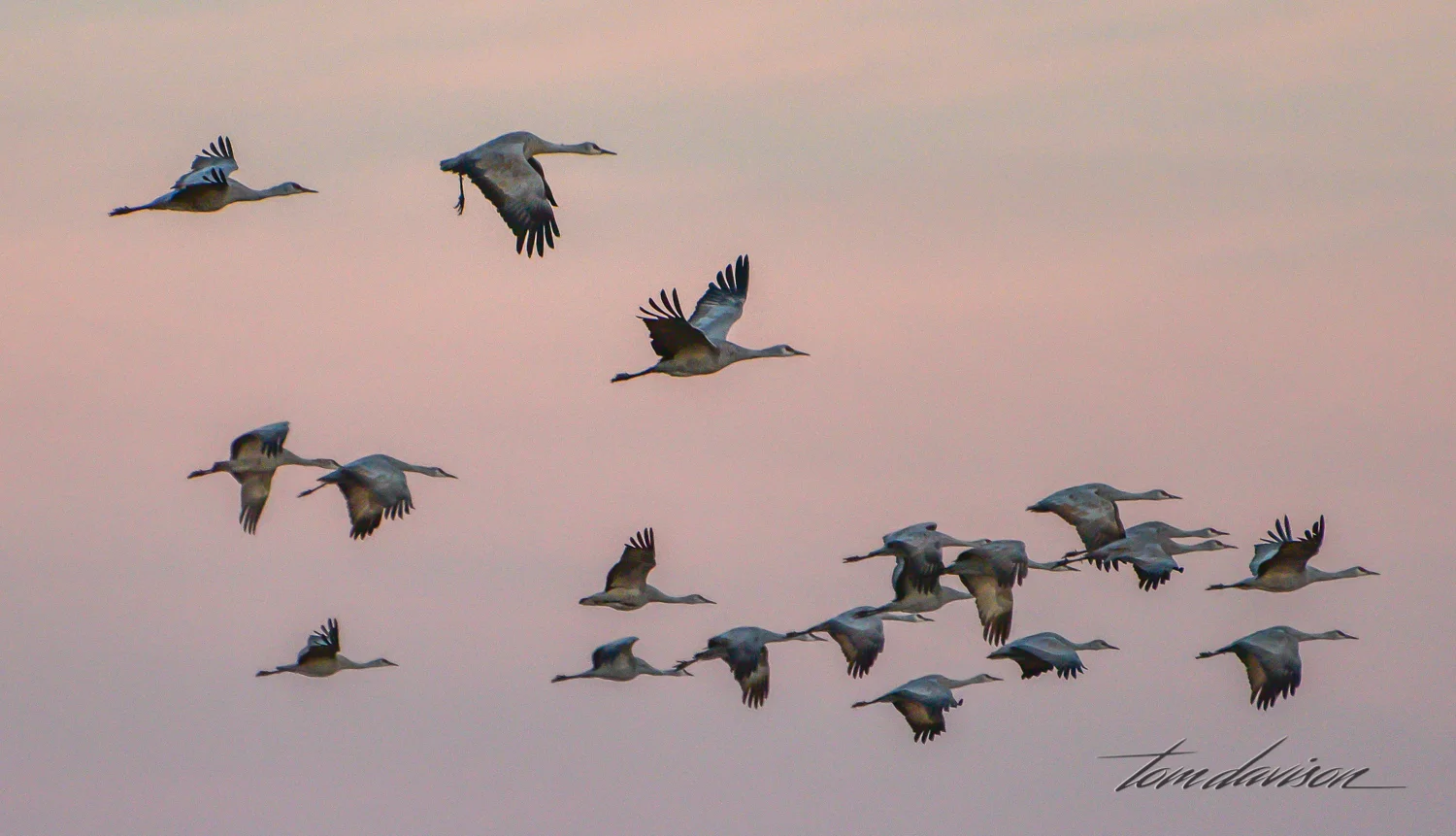 An early morning photograph.