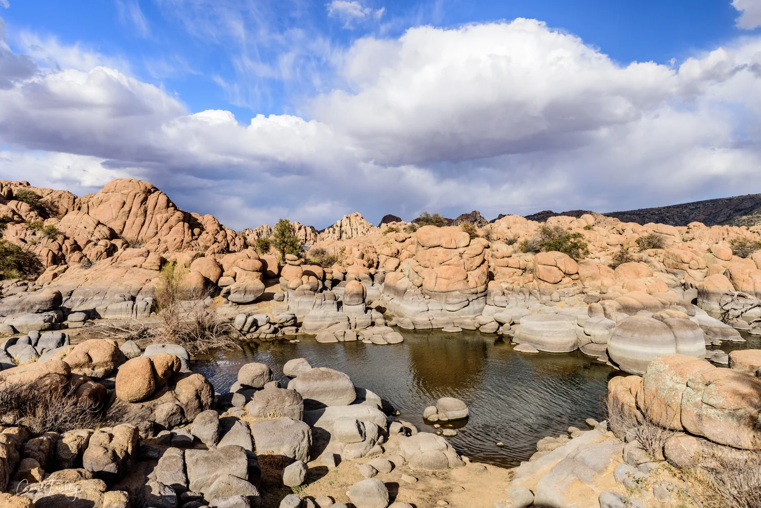 Watson Lake-2009.jpg