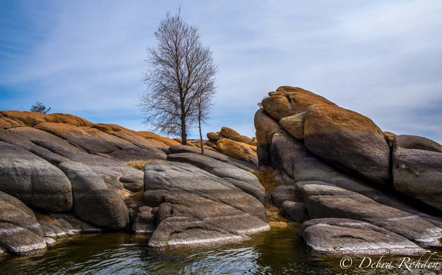 Watson Lake lone tree.jpg