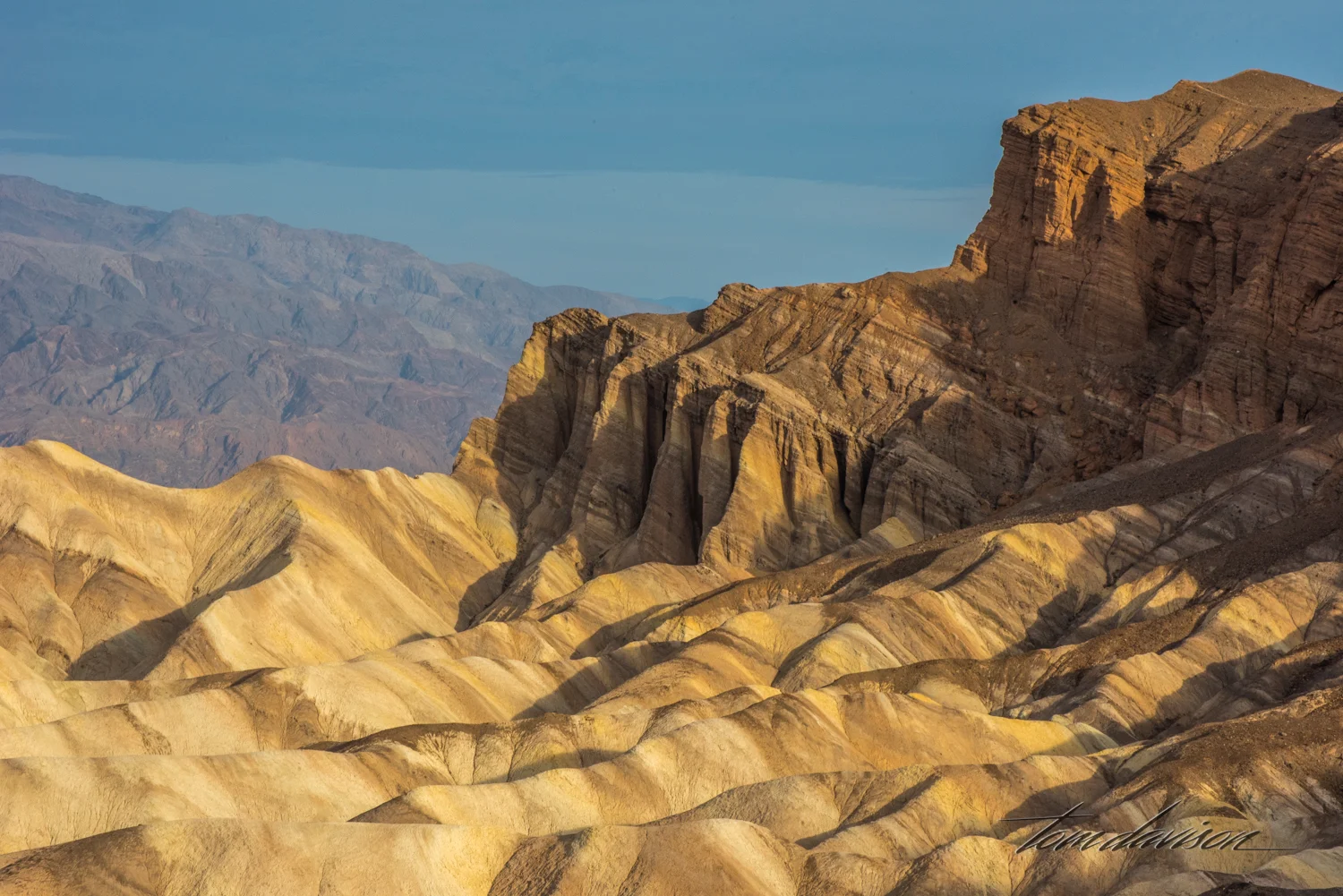Zabriskie TD-12.jpg