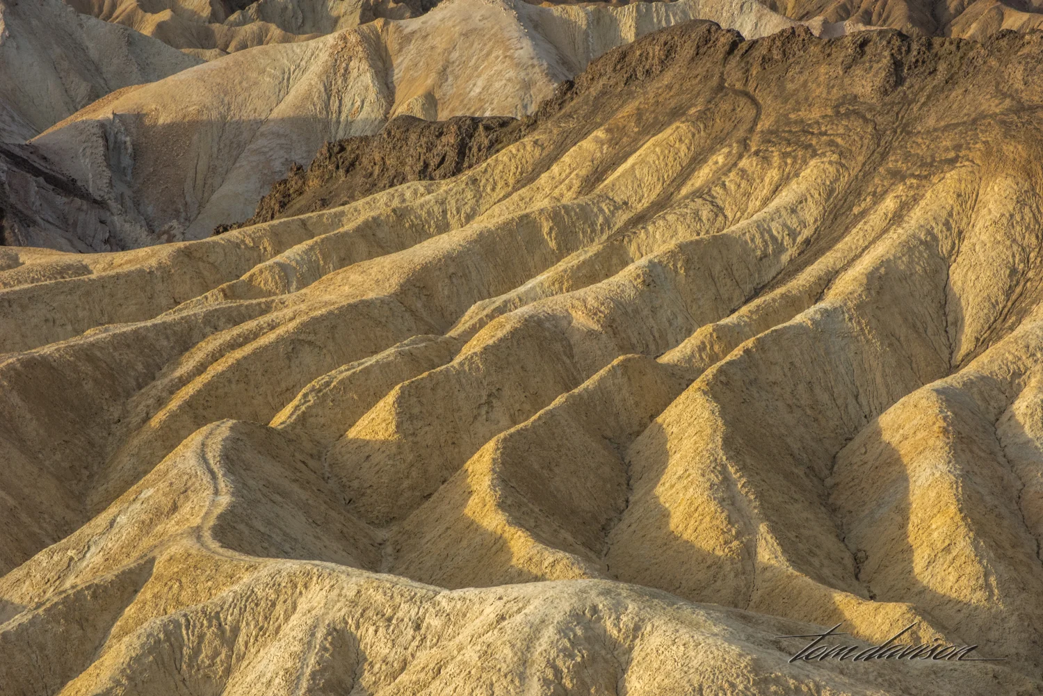 Zabriskie TD-13.jpg