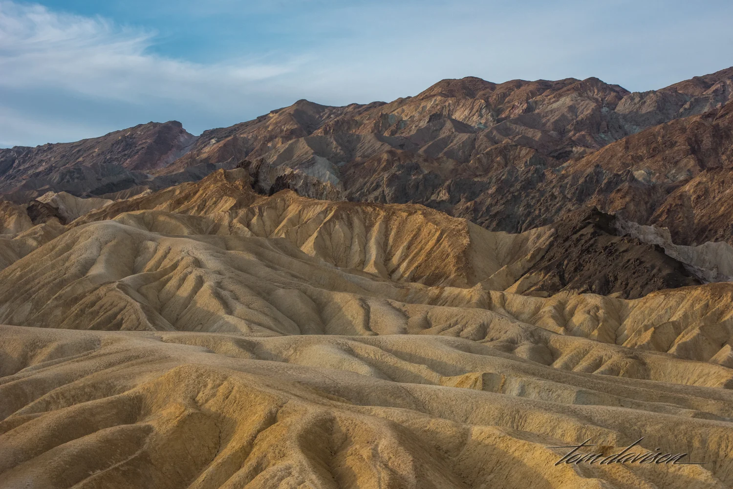 Zabriskie TD-16.jpg