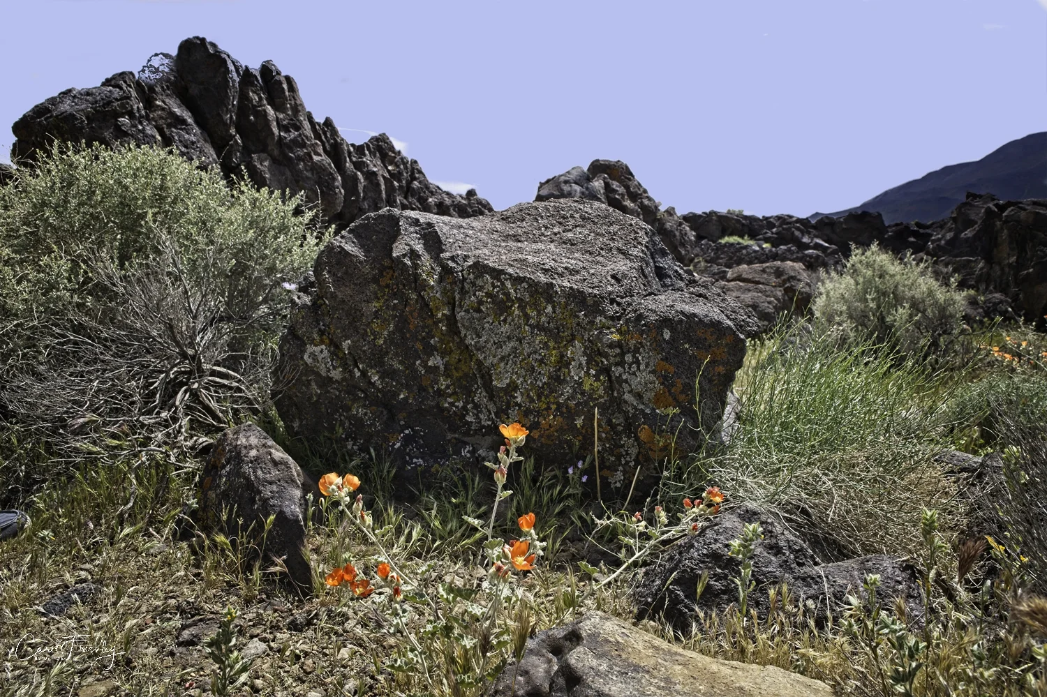 Fossil Falls 4.jpg