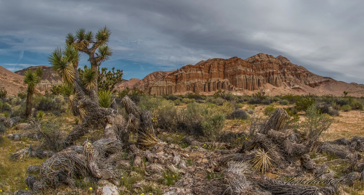 Red Rock TD-5.jpg