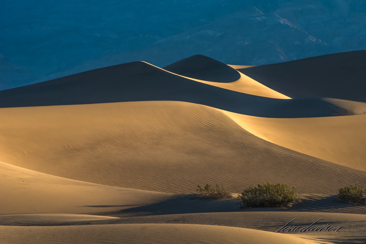 Dunes TD-5.jpg