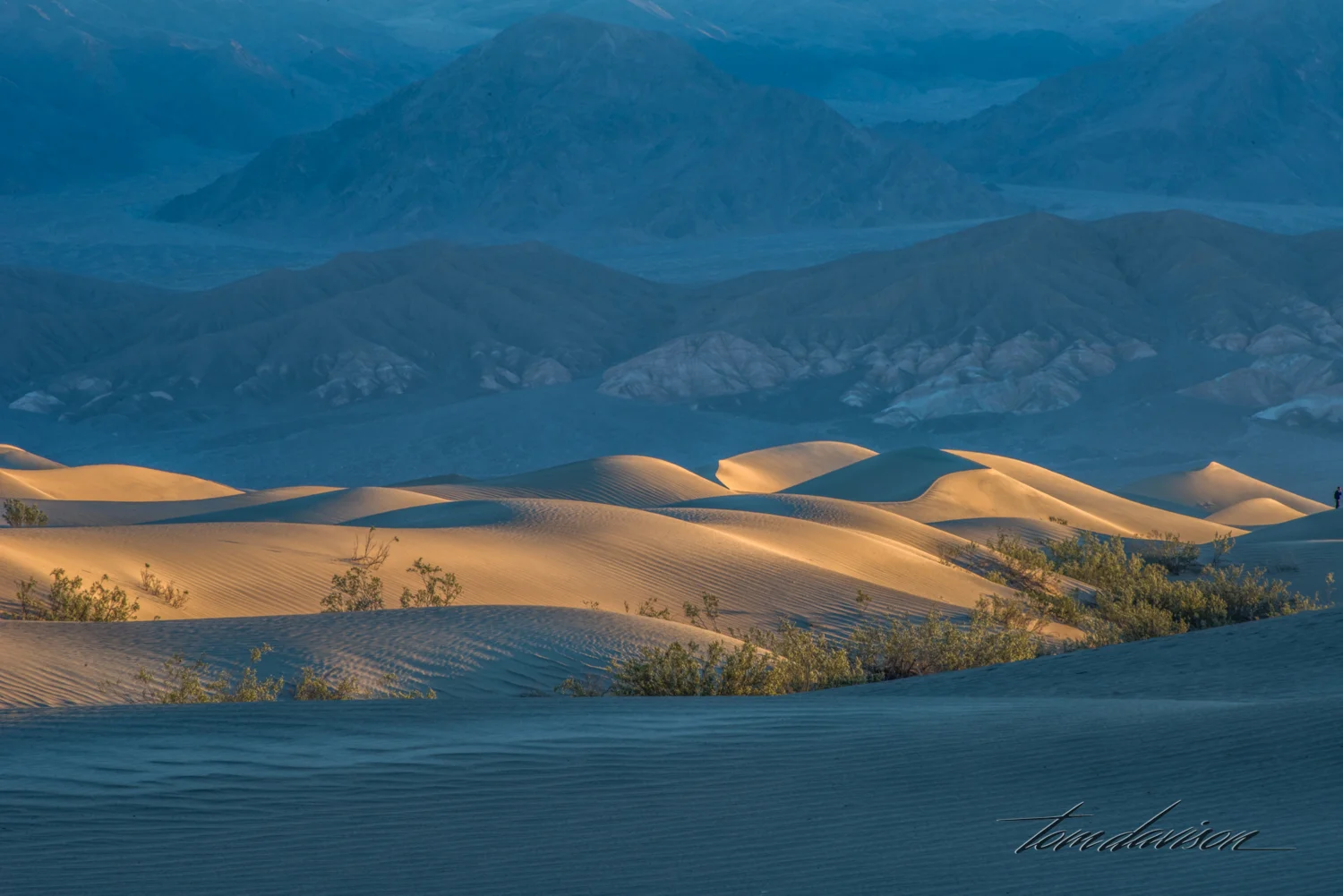 Dunes TD-2.jpg
