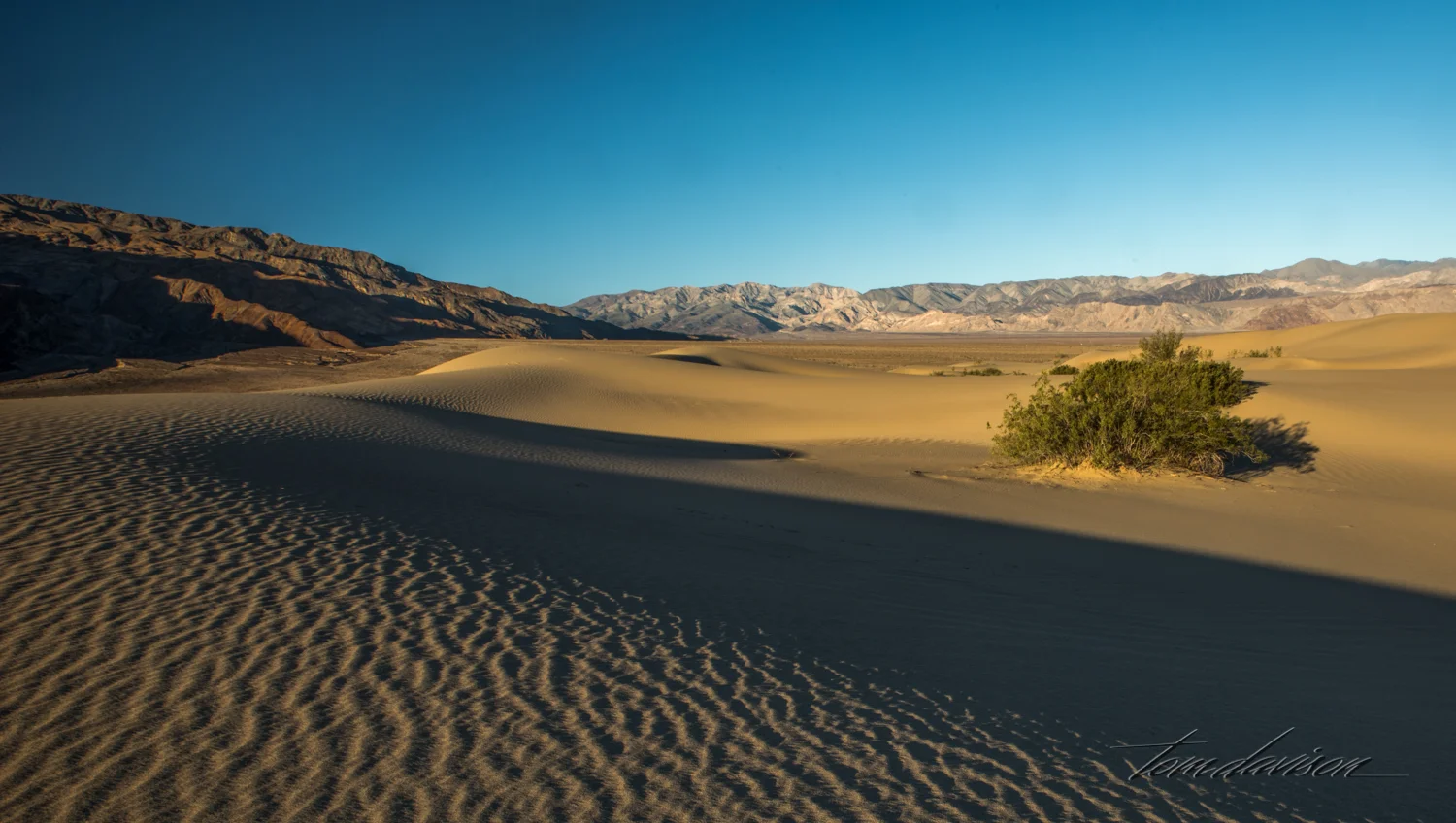 Dunes TD-9.jpg
