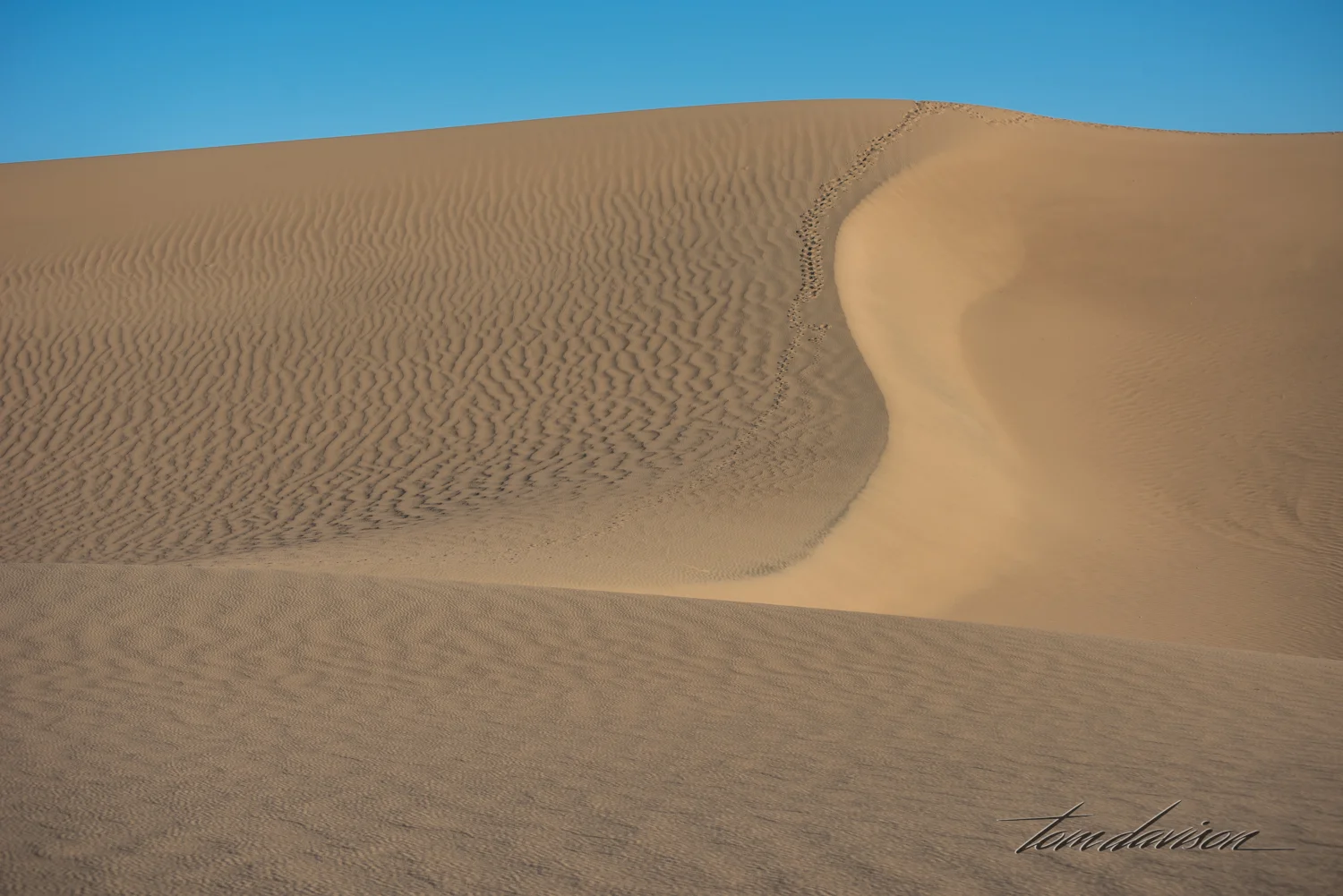 Dunes TD-11.jpg