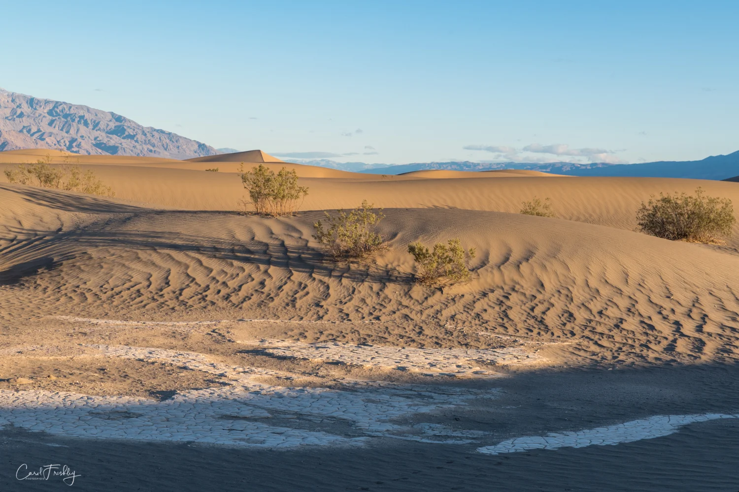 Mesquite Flat Sand Dunes-8.jpg